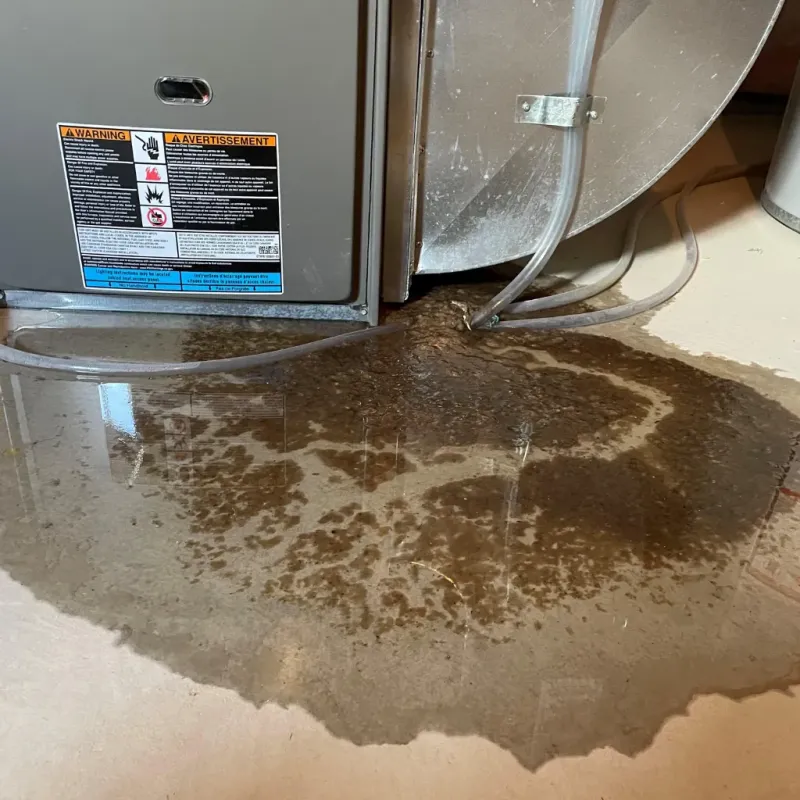 Appliance Leak Cleanup in Monroeville, IN